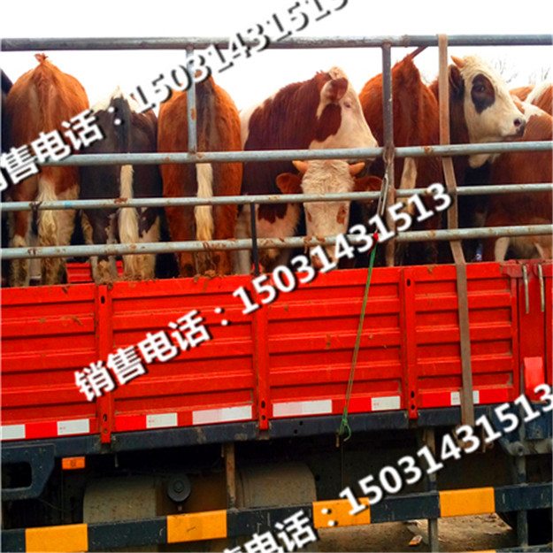 华北牲畜交易中心