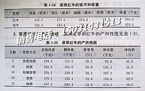 草原红牛品种